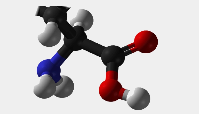 amino_acid-1