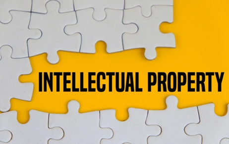 IP Litigation