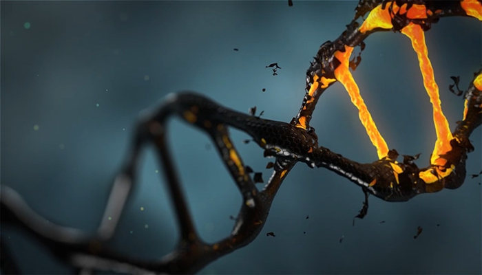 new-for-mrna-700x400-1
